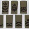 Clearance: Other Ranks, Black on Green Rank Slides (Pair)